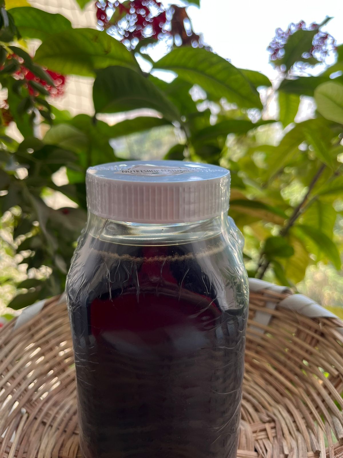 Forest Honey from the Honey Hills of Western Ghats|From Thenmala forest region|Raw unpasteurized forest honey