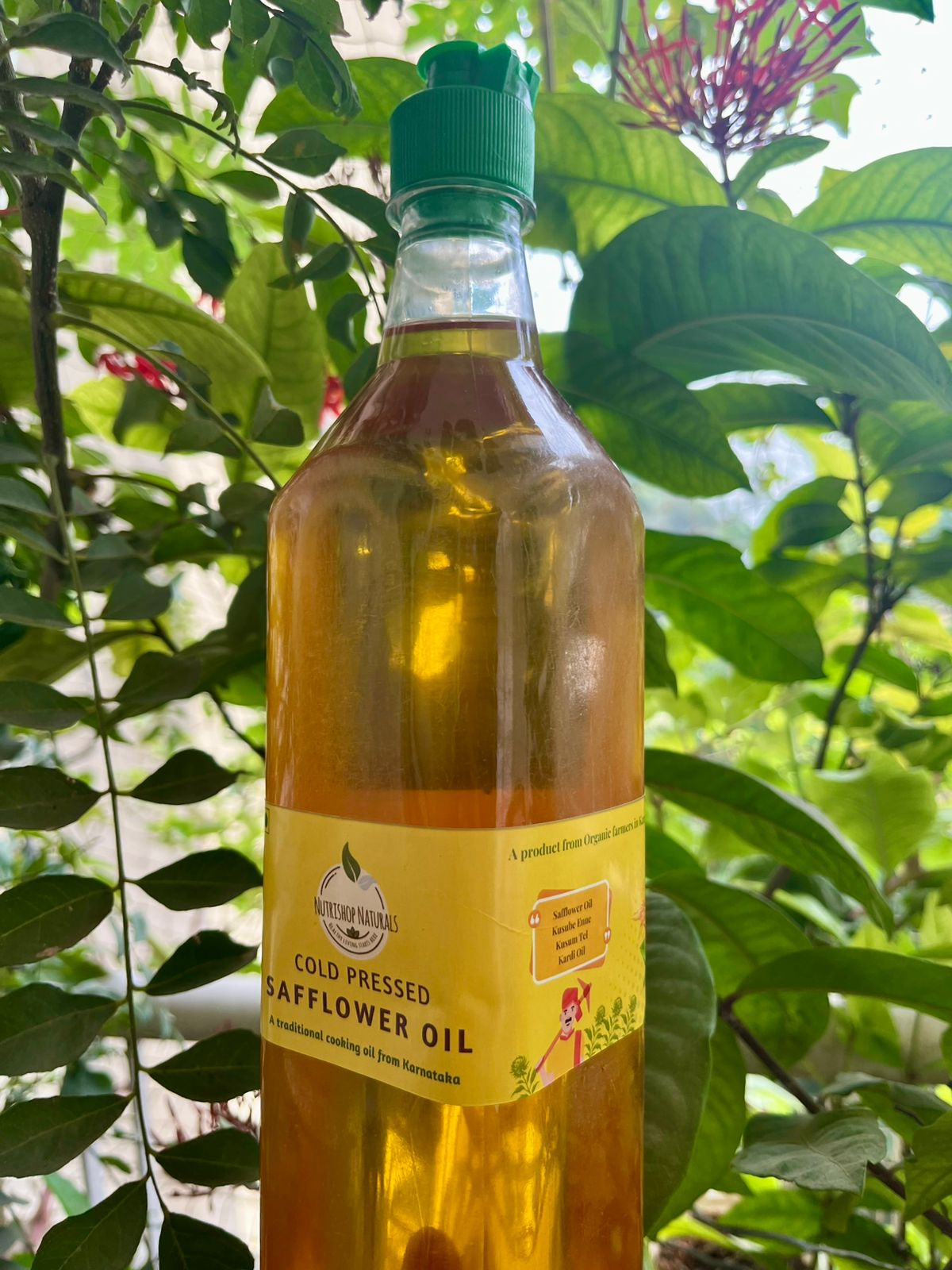 Safflower cold pressed oil in a bottle 