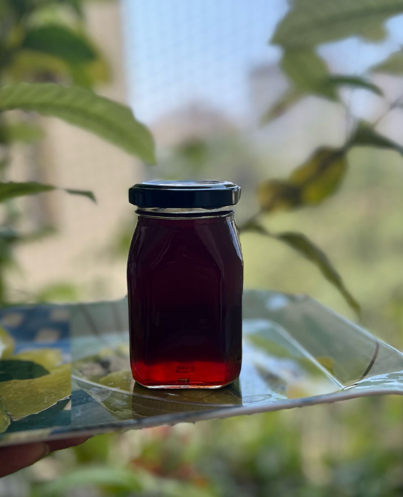 Forest honey from the honey hills - Thenmala in Western Ghats 